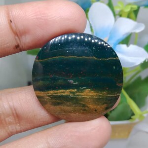 Opalized petrified wood