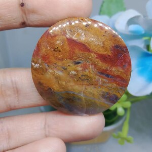 Opalized petrified wood