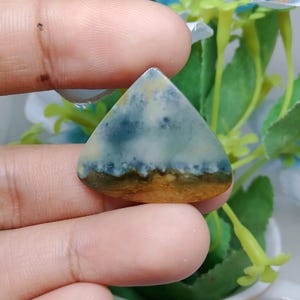 Opalized petrified wood