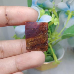 Opalized petrified wood