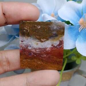 Opalized petrified wood