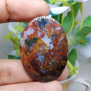 Opalized petrified wood