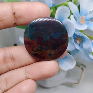 Opalized petrified wood