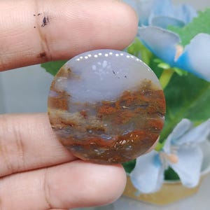 Opalized petrified wood