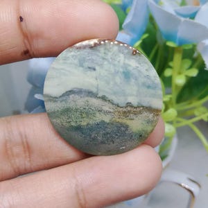 scenic Opalized petrified wood