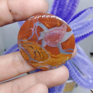 Opalized petrified wood