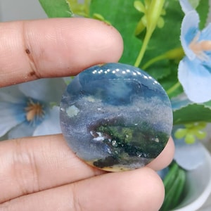 Opalized petrified wood