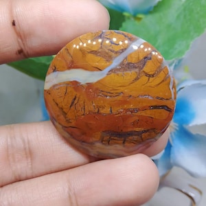 Opalized petrified wood