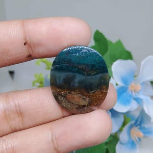 Opalized petrified wood
