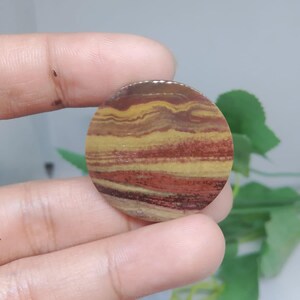 Opalized petrified wood