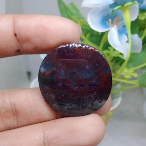 Opalized petrified wood