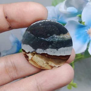 scenic Opalized petrified wood