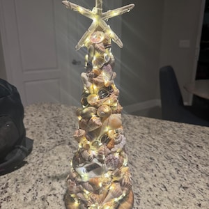 May include: A decorative seashell tree with a starfish topper, illuminated by warm white fairy lights. The tree is constructed from various seashells and sits on a round wooden base. A unique coastal-themed accent piece.