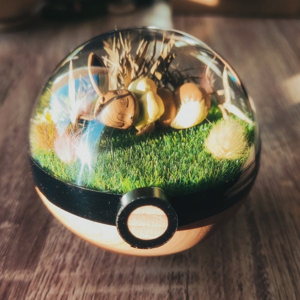 EEVEE (Evoli) Woodball Pokeball Terrarium 8cm