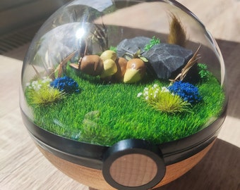 EEVEE (Evoli) Woodball Pokeball Terrarium 12 cm