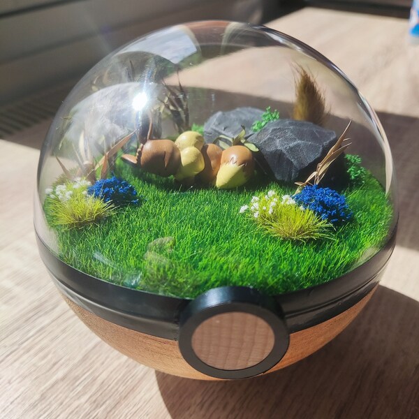 EEVEE (Evoli) Woodball Pokeball Terrarium 12 cm