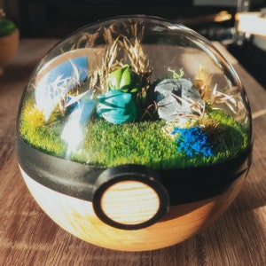 Könnte beinhalten: Ein gläsernes Terrarium mit schwarzem Rand und Holzsockel, gefüllt mit grünem Moos, blauen und grünen Pflanzen und kleinen Steinen. Das Terrarium ist in Form eines Pokéballs.