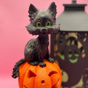 May include: A black cat figurine with bright green eyes sits atop an orange jack-o'-lantern. The cat has a fluffy appearance and is smiling. A black lantern is in the background, all against a pink backdrop. Halloween-themed decor.