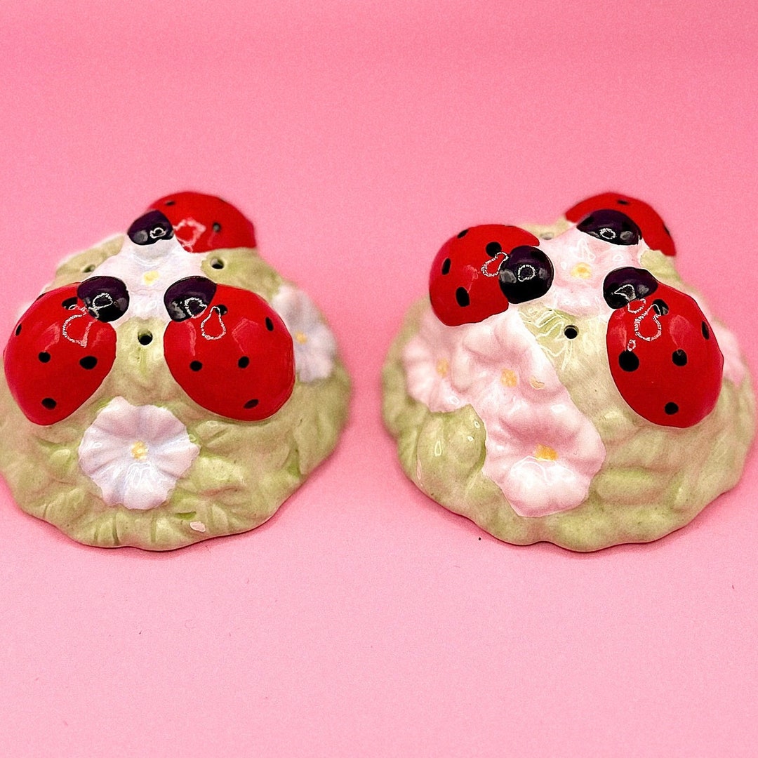 Lenox Butterfly Meadows Ladybug Salt and Pepper Shakers, Retro Kitchen ...