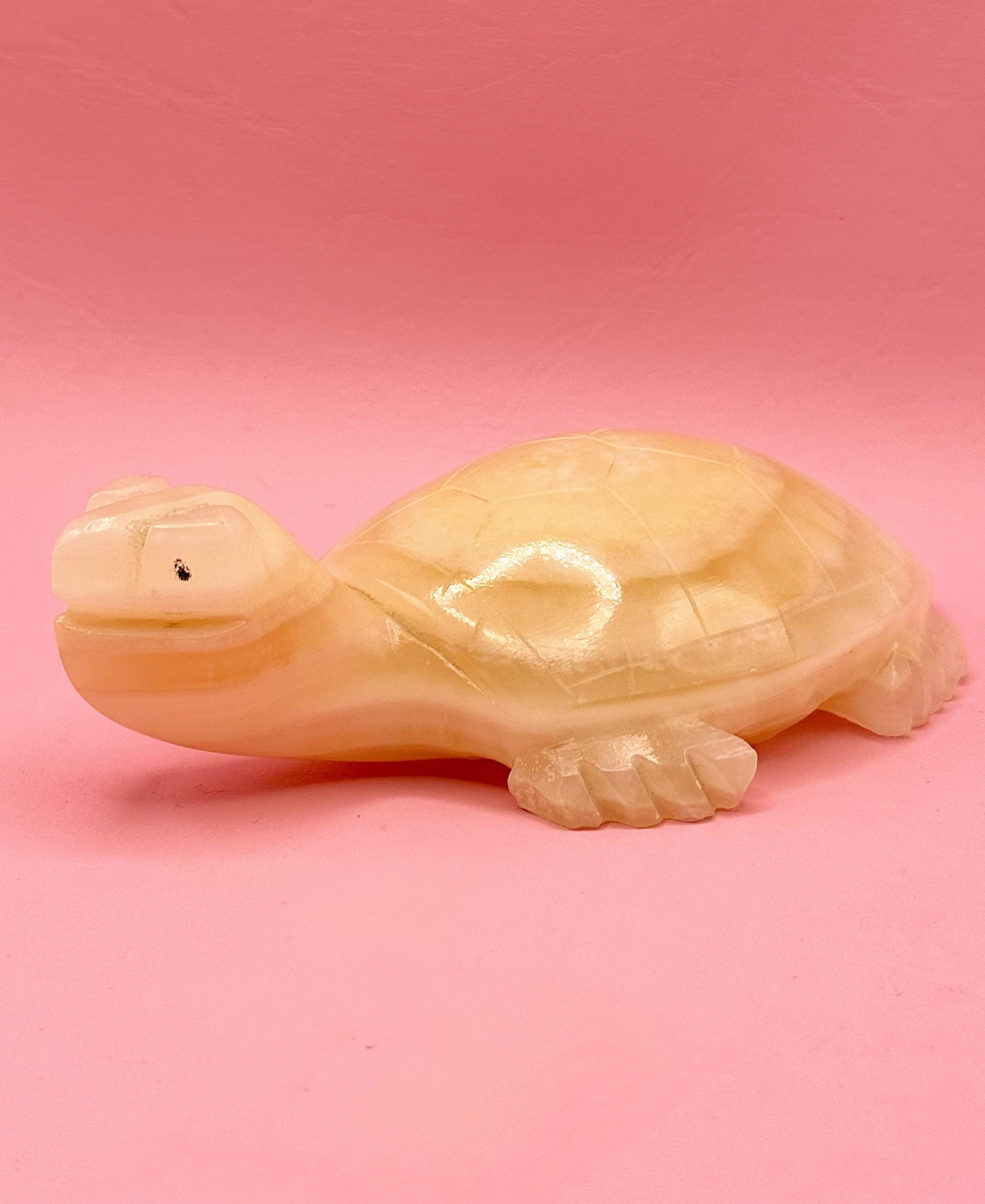 【専用】亀の置物 Amazon.co.jp: LxRx9 亀の置物 A かめ カメ タートル 動物 置物 玄関