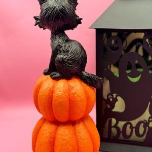 May include: A black cat figurine sits atop two stacked orange pumpkins. A black lantern with a ghost design and the word "Boo" is to the right. The background is a solid pink.