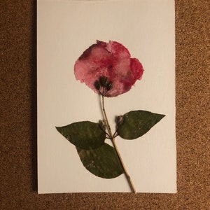 Ansichtkaart met echte geperste bloemen, unieke handgemaakte botanische kaart, mixed media collage wenskaart