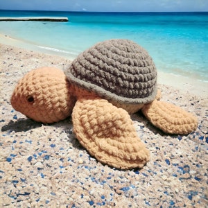 Sea Turtle
