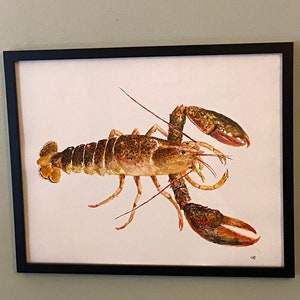 Maine Lobster watercolor original 16 x 20 unframed.