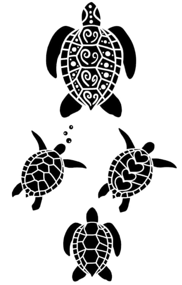 Tortoise SVG PNG - Etsy