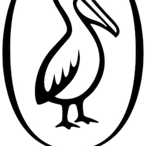 pellicano svg png
