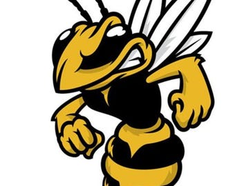 May include: A cartoon illustration of a yellow and black hornet with white wings. The hornet is depicted in a dynamic pose, with a determined expression and clenched fists, suggesting strength and aggression. The design is bold and graphic.
