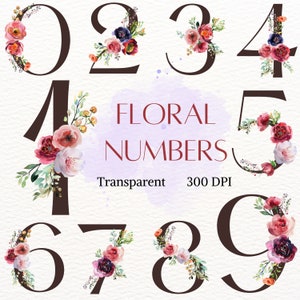 Imágenes prediseñadas de números florales, PNG de números de flores de acuarela, gráfico de flores de primavera, ilustración de edad de cumpleaños, hermoso dibujo de letras de pétalos rosas