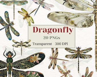Dragonfly Clip Art, Dragonfly PNG, Rustic Floral Insect Image, Wing Fantasy Graphic, Wetland Illustration, Vintage Bug Art, Digital Download