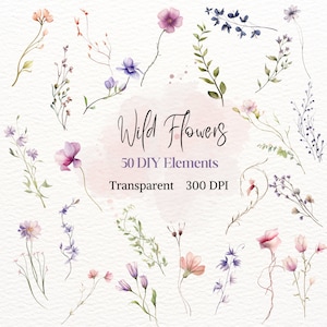 Élément graphique de fleur sauvage de prairie, PNG individuel de fleur sauvage, dessin floral aquarelle, clipart délicat de printemps et d'été, image florale sauvage