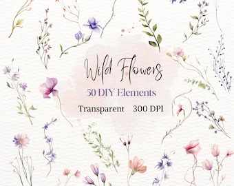 Meadow Wild Flower Element Graphic, Wildflower Individual PNG, Watercolor Floral Drawing, Spring Summer Delicate Clipart, Wild Floral Image