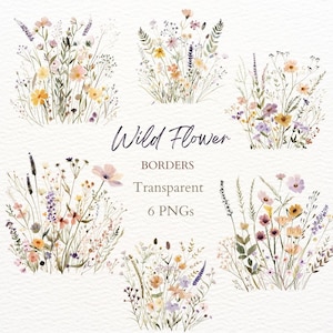 ClipArt de flores silvestres, borde de flores silvestres PNG, gráfico de ramo floral de acuarela, imagen de campo de flores de primavera y verano, arte digital de pétalos de pradera