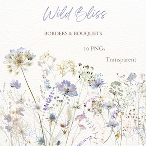 Wild Bliss Clip Art, borda de flor selvagem PNG, gráfico de buquê floral em aquarela, imagem de campo de flores primavera verão, arte digital de pétala de prado
