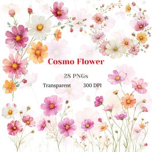 Cosmo flower Watercolor Clipart, Summer Wildflower PNG, Spring Flora Bouquet Graphic, Flower Wreath Border Drawing, Pink White Meadow Art