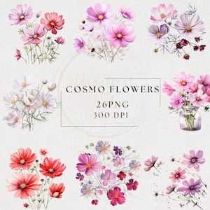 Clipart aquarelle de fleur de cosmos, PNG de fleur sauvage d'été, graphique de bouquet de flore printanière, dessin de bordure de couronne de fleurs, art de prairie rose et blanc