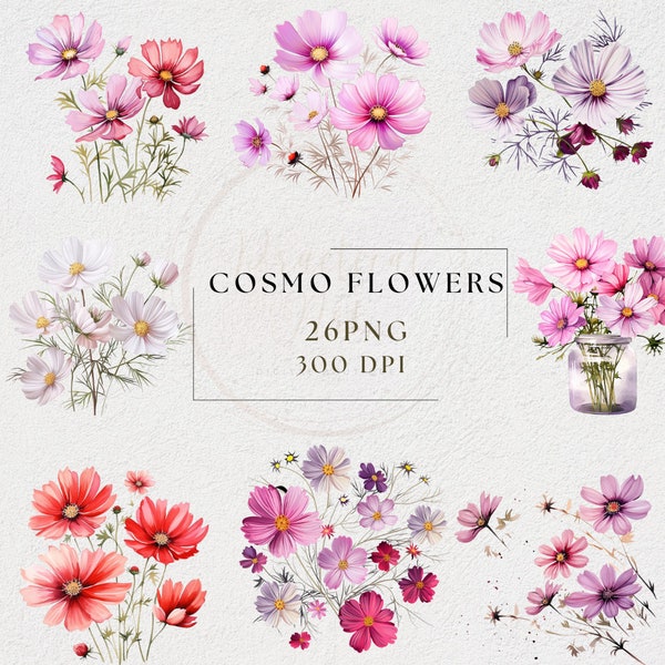 26 Cosmo flower Watercolor Clipart PNG Transparent Spring Summer Graphic Wreath Border Bouquet Floral Jar Drawing Pink White Wild Meadow Art