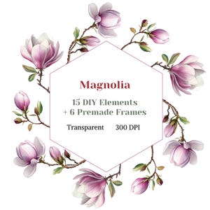 Couronne de Magnolia Clipart, Guirlande de Magnolia Aquarelle PNG, Élément Graphique DIY Fleur Rose Printemps, Image Arrangement Floral Artisanal, Mariage