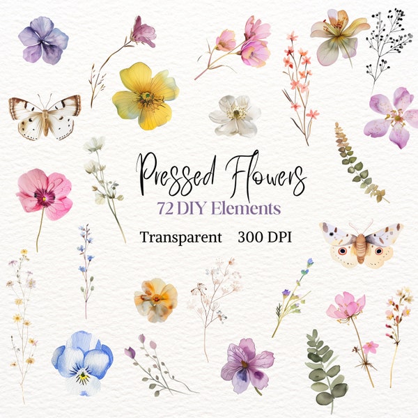 Pressed Flower DIY Elements ClipArt Transparent Watercolor PNG Wild Flora Image Pretty Meadow Drawing Fantasy Petal Leave Graphic Delicate