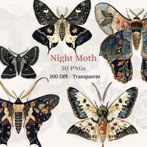 Night Moth ClipArt Transparente Acuarela PNG Ala Fantasía Gráfico Rústico Floral Insecto Dibujo Vintage Animal Arte Polilla Altamente Detallada