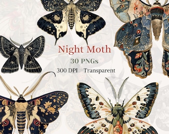 Night Moth ClipArt Transparent Watercolor PNG Wing Fantasy Graphic Rustic Floral Insect Drawing Vintage Animal Art Highly Detailed Moth