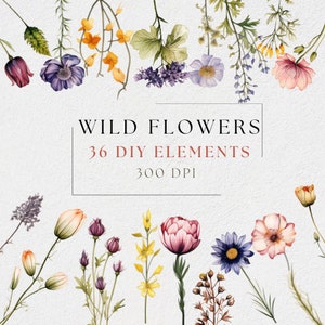Clipart di fiori selvatici, elemento fai da te acquerello PNG, immagine floreale primaverile ed estiva, grafica individuale di fiori selvatici, design di biglietti di nozze botanici