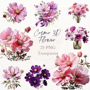3D Cosmo Flower Clipart, Akwarela Różowy Cosmo PNG, Wiosna Lato Flora Grafika, Rysunek Dzikiego Kwiatu, Obraz Łąki, Bukiet Obramowanie Wazon Sztuka