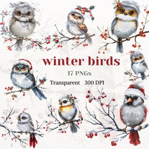 Clipart de pássaro de inverno aquarela transparente PNG Noel imagem gráfica de inverno festivo feriado desenho natal branco nevando pena de natureza selvagem