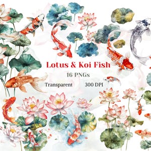 Op de afbeelding: Waterverfillustratie met koikarpers en lotusbloemen in rood, oranje, wit en blauw. De tekst "Lotus & Koi Fish" wordt weergegeven, samen met "16 PNG's", "Transparant" en "300 DPI".