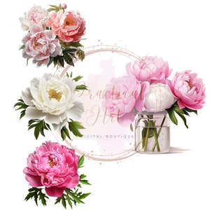 Clipart de pivoine rose et blanche, fleur de pivoine PNG, graphique de fleur de pivoine botanique, image florale de mariage, éléments de conception de cartes, téléchargement numérique