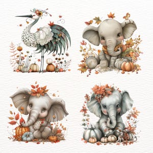 Pu&ograve; includere: Quattro illustrazioni che rappresentano una gru grigia con una corona di fiori, un elefante grigio con una corona di fiori e due elefanti grigi con corone di fiori. Le illustrazioni sono su uno sfondo bianco con elementi autunnali come foglie, zucche e ghiande.